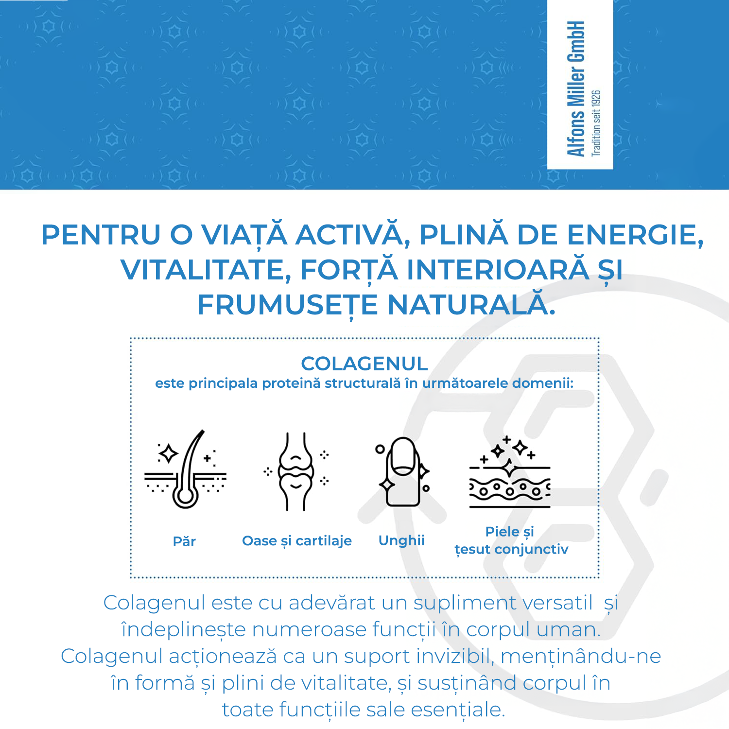 Millers Alpha Gel - Colagen Bovin Hidrolizat Premium 1 kg | Articulații & Piele | 15.000 mg